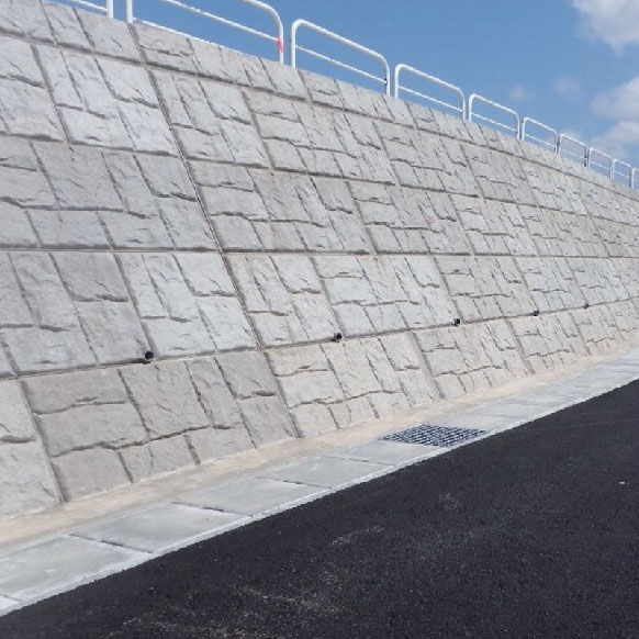 Cases of conches and shells projects