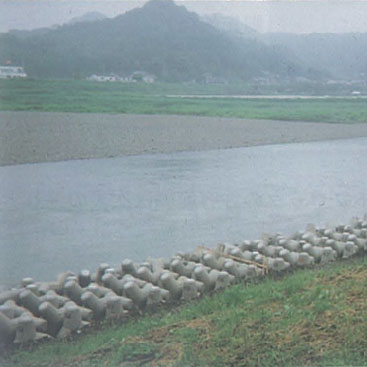 Oita-kun ? Ohno River